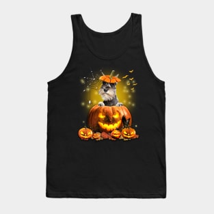 Grey Miniature Schnauzer Spooky Halloween Pumpkin Dog Head Tank Top